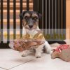 Space divider, safety grid 3 panel fence for dogs or children brown