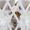 Safety grid extendable bamboo panel 70-82 cm high white protective fence to protect dogs stair guard