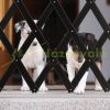 Safety grid extendable bamboo panel 70-82 cm high black protective fence to protect dogs stair guard