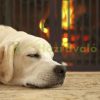Space divider 70 cm high safety grid 4-panel protective fence to protect dogs or children brown protective fence