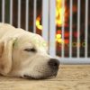 Space divider 70 cm high safety grid 4-panel protective fence to protect dogs or children white protective fence