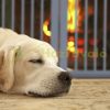 Space divider 70 cm high safety grid 4-panel protective fence to protect dogs or children gray protective fence