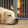 Space divider 70 cm high safety grid 3-panel protective fence to protect dogs or children gray protective fence