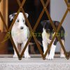 Safety grid extendable bamboo panel 87.5-100 cm high protective fence to protect dogs stair guard