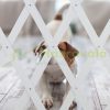 Safety grid extendable bamboo panel 87-99 cm high white protective fence to protect dogs stair guard