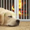 Space divider 92 cm high safety grid 3-panel protective fence for the protection of dogs or children, white