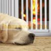 Safety grid with partition door 3-panel protective fence to protect dogs or children, white