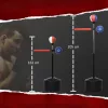Állítható boxállvány Speedball, reflexrúd és célpárna egyben 