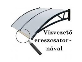 Entrance door window polycarbonate protective roof with gutter 300x100 Black frame translucent cavity roof