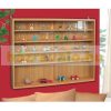 Fali vitrin modell szekrény polc üveges 60x80 cm kisautó, modellvasút gyűjtő