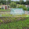 Greenhouse foil tent 110x180x150 cm