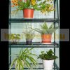 Mini greenhouse for growing and rearing plants - hobby foil tent greenhouse 69x49x126 cm balcony terrace