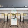 Modern design rolling cart with 2 drawers in white and wood color