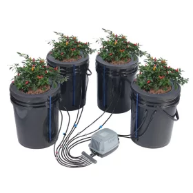   Hidrokultúrás növénytermesztő rendszer 20L 4 vödrös mélyvizes kultúra