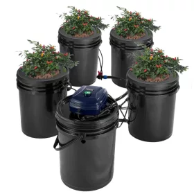   Hidrokultúrás termesztő rendszer 4 vödrös RDWC hidroponikus rendszer 20L mélyvizes keringető rendszer