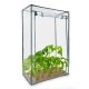 Greenhouse for growing and rearing plants - hobby foil tent greenhouse 100x50x150 cm