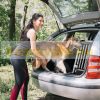 Carrier cage aluminum Dogbox for small dogs pet portable, mobile dog cage dog transport box