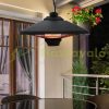 Radiant 2000W outdoor ceiling heater with LED lighting can be controlled by remote control