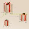 3-piece Christmas gift box set for indoor and outdoor decoration with 58 LED lights in gold color