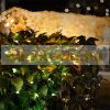 LED light curtain 200x100 cm warm white 160 LED lighting, festive light string for pergola