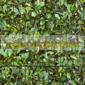   Táblás kerítésbe fűzhető babér mintás szalag 26 m hosszú 19 cm magas műanyag belátásgátló szélfogó