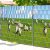 Táblás kerítésbe fűzhető Birka és mező kép 250x180 cm 19 cm-es szalagból