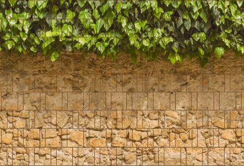 Board fence ivy and wall picture 250x180 cm made of 19 cm tape plastic privacy windbreak