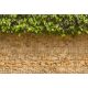 Board fence ivy and wall picture 250x180 cm made of 19 cm tape plastic privacy windbreak