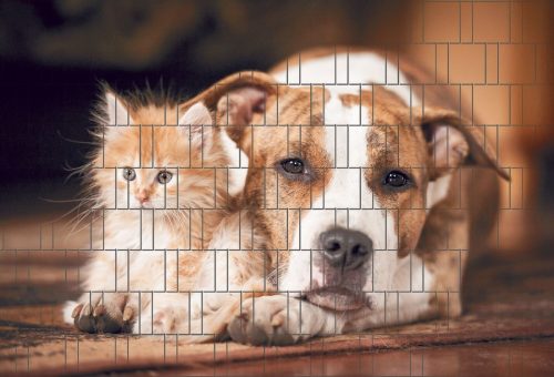 Picture of a cat and a dog 250x180 cm individually printed from a 19 cm strip that can be attached to a board fence Plastic anti-view wind deflector