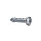 Screw for fence systems 4.2x19 mm 