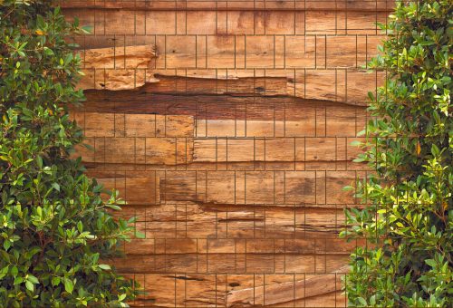 Board fence ivy and wood effect picture 250x180 cm made of 19 cm tape plastic privacy windbreak