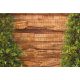 Board fence ivy and wood effect picture 250x180 cm made of 19 cm tape plastic privacy windbreak