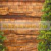 Board fence ivy and wood effect picture 250x180 cm made of 19 cm tape plastic privacy windbreak