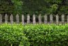 Wooden fence and boxwood picture 250x180 cm made of 19 cm tape, plastic anti-see-through wind deflector