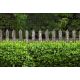 Wooden fence and boxwood picture 250x180 cm made of 19 cm tape, plastic anti-see-through wind deflector