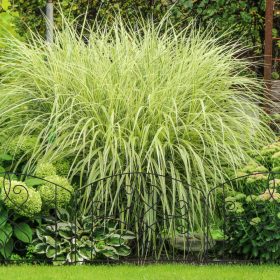   Kerti dekor kerítés 46x46,5 cm horganyzott acél antik hatású kerítéspanel fekete virágyágyás szegély leszúrható ágyásszegély