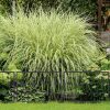 Garden decor fence 60x60 cm metal fence panel black decorative flower bed edging cut-off bed edging