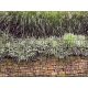 Stone wall picture that can be attached to a board fence 250x180 cm made of 19 cm tape plastic anti-view wind deflector