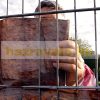Stone wall picture that can be attached to a board fence 250x180 cm made of 19 cm tape plastic anti-view wind deflector