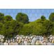 Picture of a bushy wall that can be attached to a board fence, 250x180 cm, made of 19 cm tape, plastic anti-view windbreak