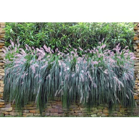 Táblás kerítésbe fűzhető növényes téglafal kép 250x180 cm 19 cm-es szalagból műanyag belátásgátló