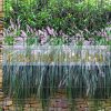 Plantable brick wall image that can be attached to a board fence 250x180 cm made of 19 cm tape, plastic anti-view windbreak