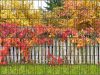 Autumn picture 250x180 cm made of 19 cm tape plastic anti-view windbreak