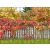 Táblás kerítésbe fűzhető őszi kép 250x180 cm 19 cm-es szalagból műanyag belátásgátló szélfogó
