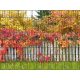 Autumn picture 250x180 cm made of 19 cm tape plastic anti-view windbreak