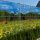 Mountain meadow picture 250x180 cm made of 19 cm tape that can be attached to a board fence, plastic anti-view windbreak