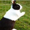 Outdoor cage for pets Rabbit cage with blue sun protection tarpaulin