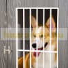 Dog cage 85x55x75 cm Dogbox for medium and large dogs, lockable grey-white