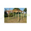 Car parking pergola 300x500x233 cm pine wood free-standing impregnated wood without roof