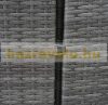 HWC-E25 Double Garbage can storage poly rattan 120 liters gray